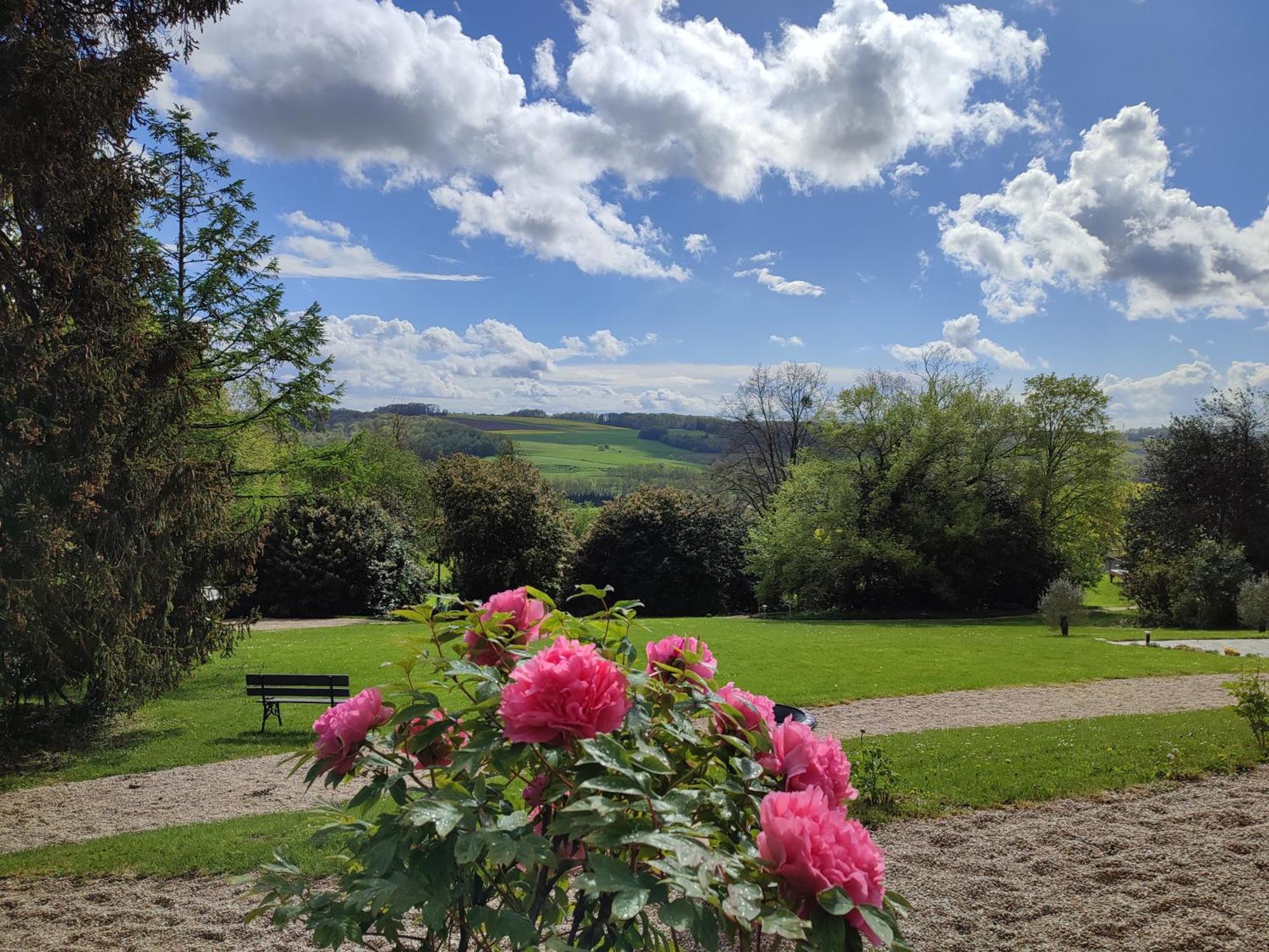 Montmirail  Demeure De La Garenne B&B 외부 사진